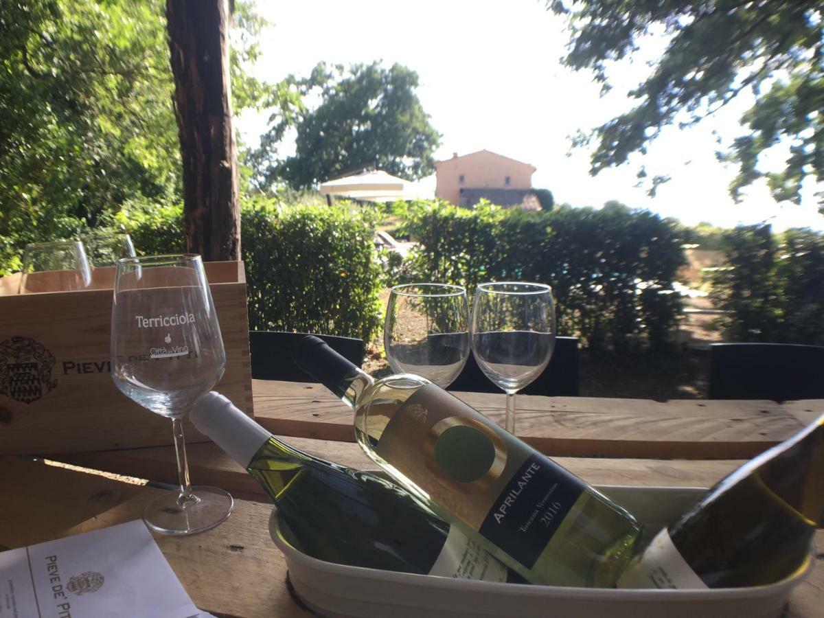 Agriturismo Pieve De Pitti Terricciola Екстериор снимка