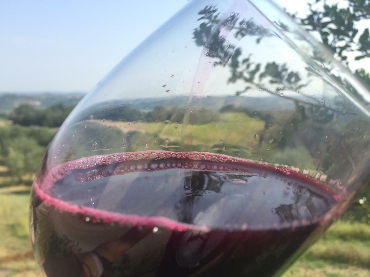 Agriturismo Pieve De Pitti Terricciola Екстериор снимка