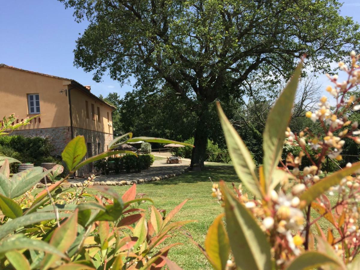 Agriturismo Pieve De Pitti Terricciola Екстериор снимка