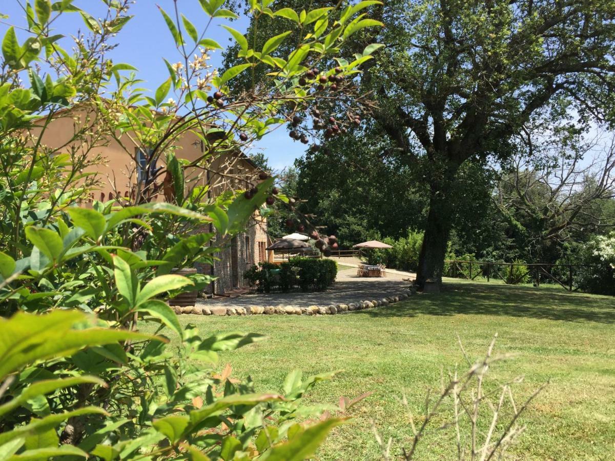 Agriturismo Pieve De Pitti Terricciola Екстериор снимка