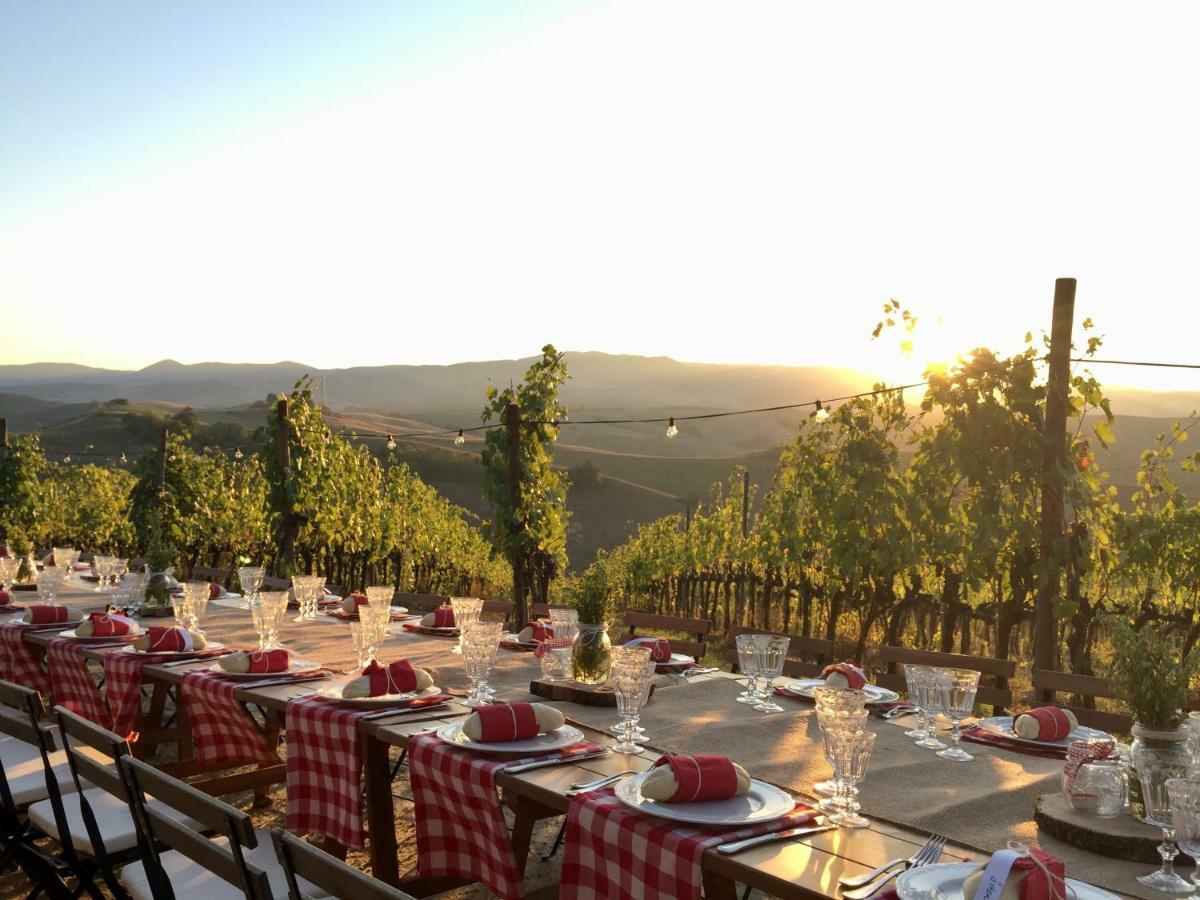 Agriturismo Pieve De Pitti Terricciola Екстериор снимка