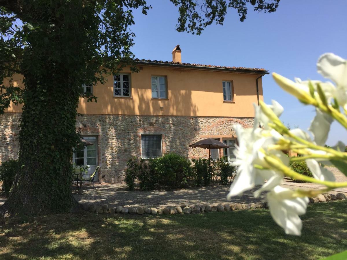 Agriturismo Pieve De Pitti Terricciola Екстериор снимка