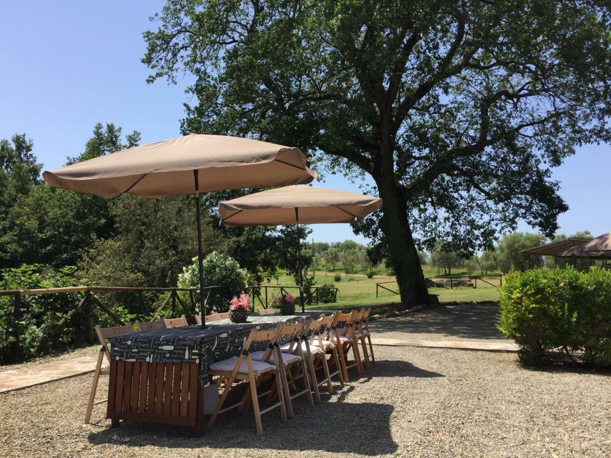 Agriturismo Pieve De Pitti Terricciola Екстериор снимка