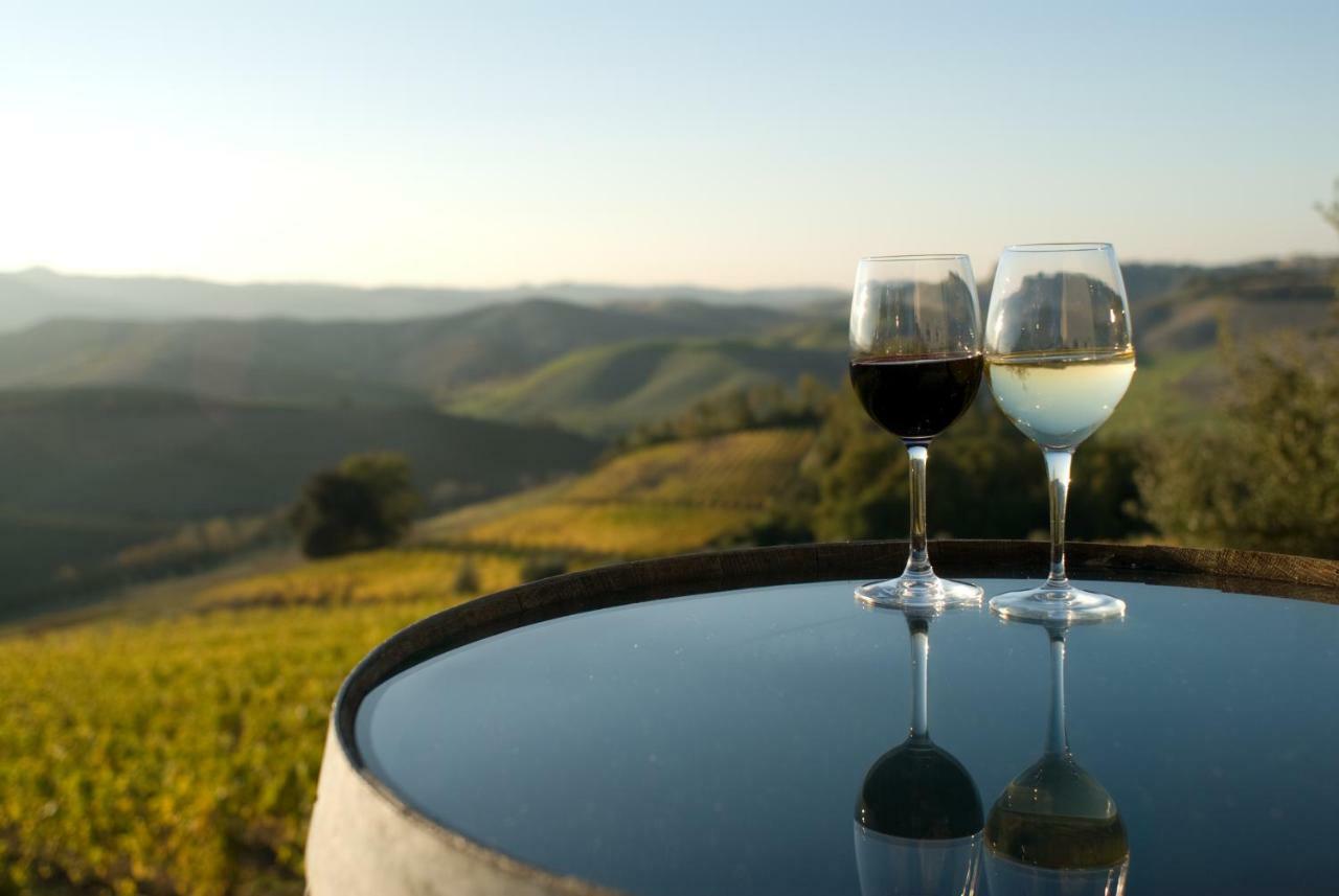 Agriturismo Pieve De Pitti Terricciola Екстериор снимка