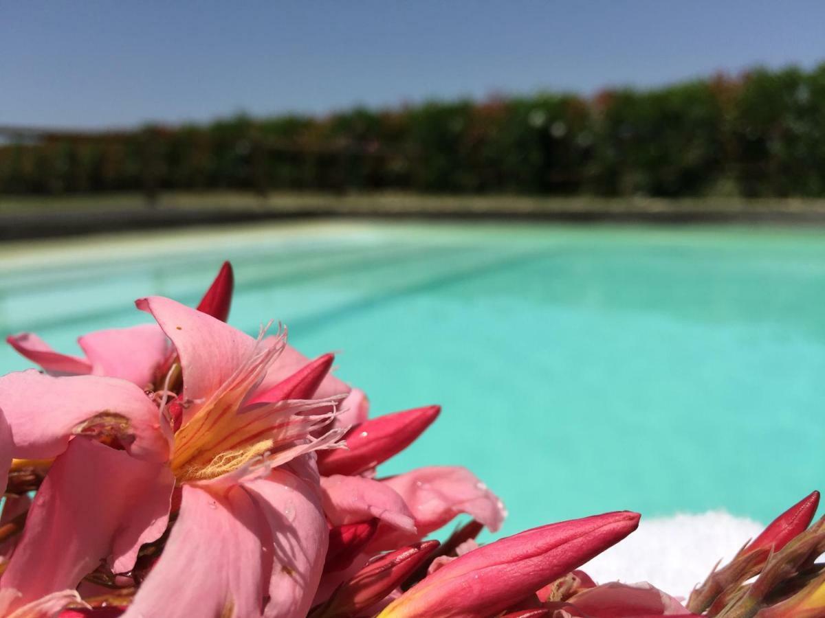 Agriturismo Pieve De Pitti Terricciola Екстериор снимка
