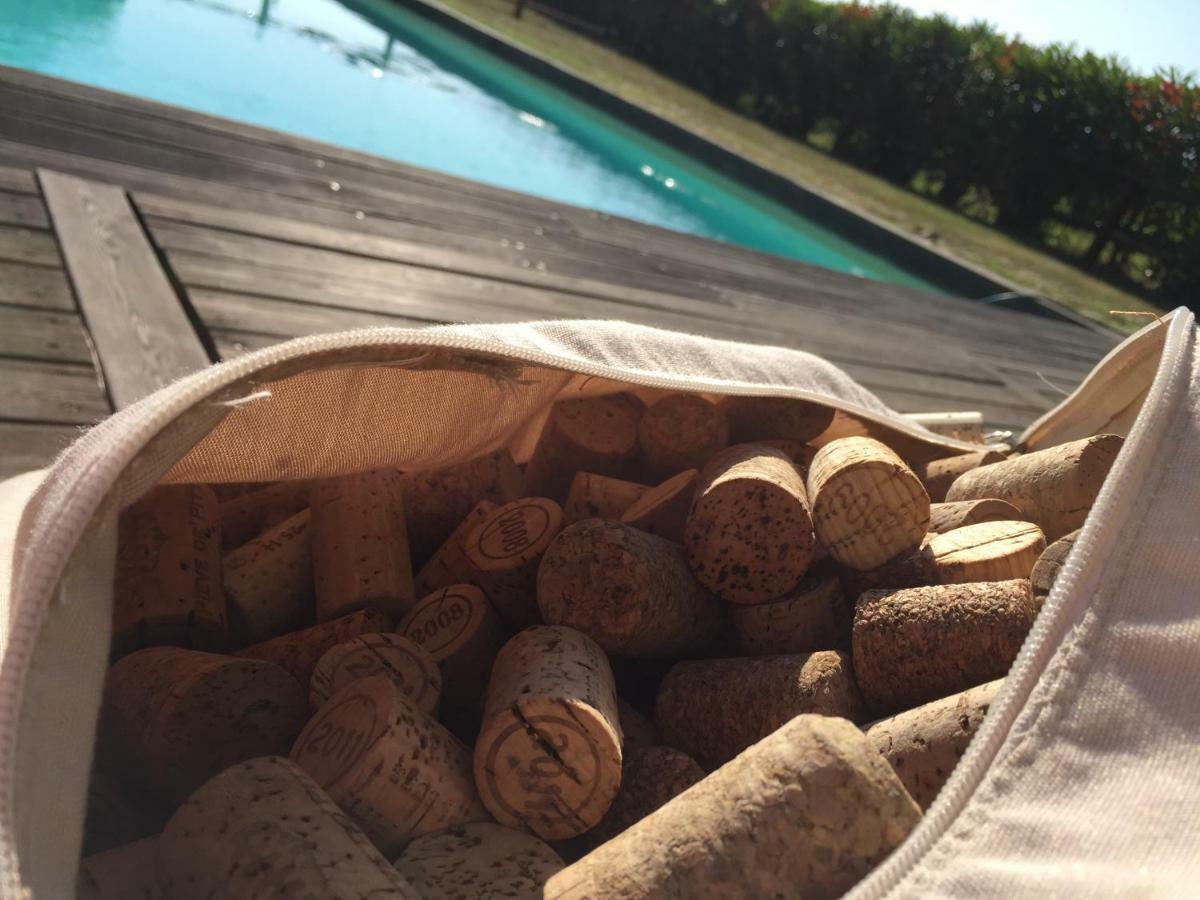 Agriturismo Pieve De Pitti Terricciola Екстериор снимка