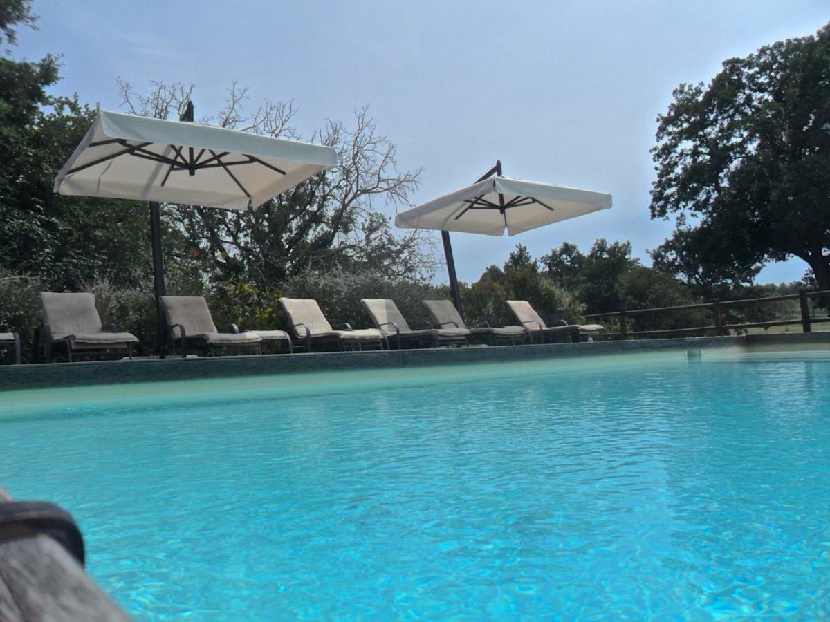 Agriturismo Pieve De Pitti Terricciola Екстериор снимка