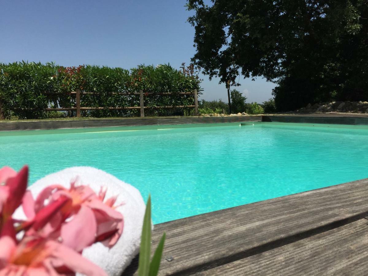 Agriturismo Pieve De Pitti Terricciola Екстериор снимка